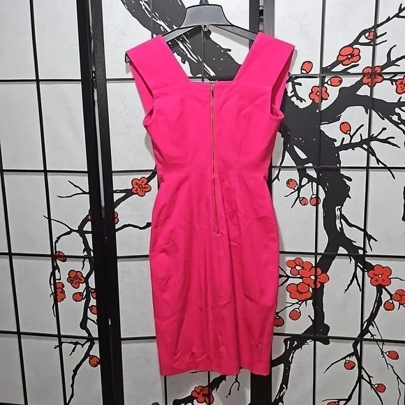 Roland‎ Mouret x Banana Republic Pink Sleeveless Dress Size 2 - Picture 8 of 9